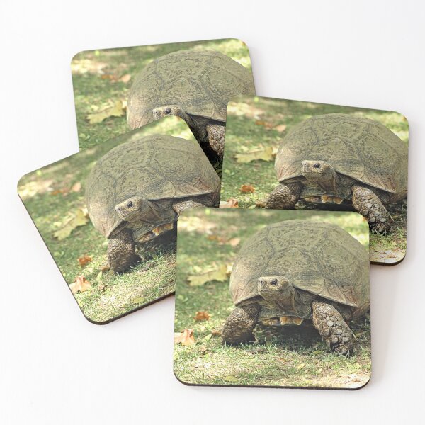 Item preview, Giant Turtle Walking Portrait designed and sold by worldways.