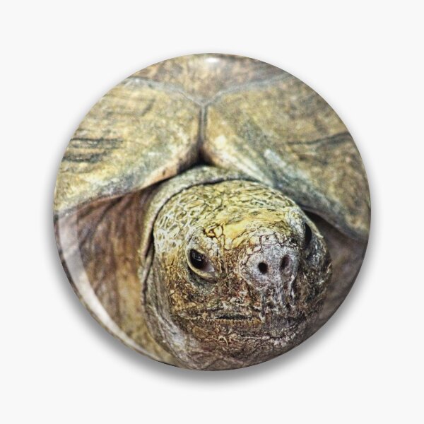 Item preview, Giant Turtle Closeup Portrait designed and sold by worldways.