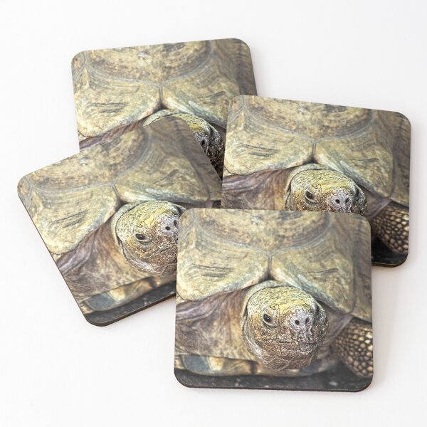 Item preview, Giant Turtle Closeup Portrait designed and sold by worldways.