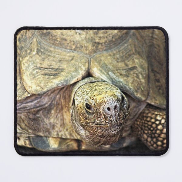 Item preview, Giant Turtle Closeup Portrait designed and sold by worldways.