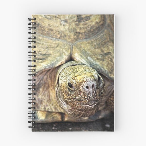 Item preview, Giant Turtle Closeup Portrait designed and sold by worldways.