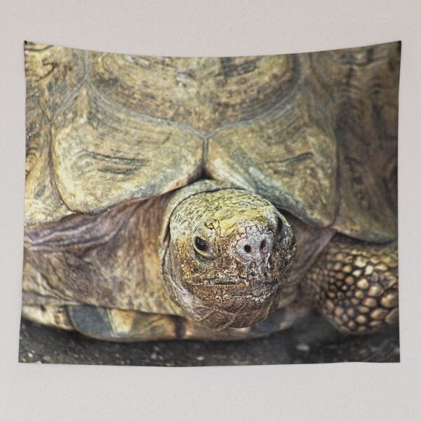 Item preview, Giant Turtle Closeup Portrait designed and sold by worldways.
