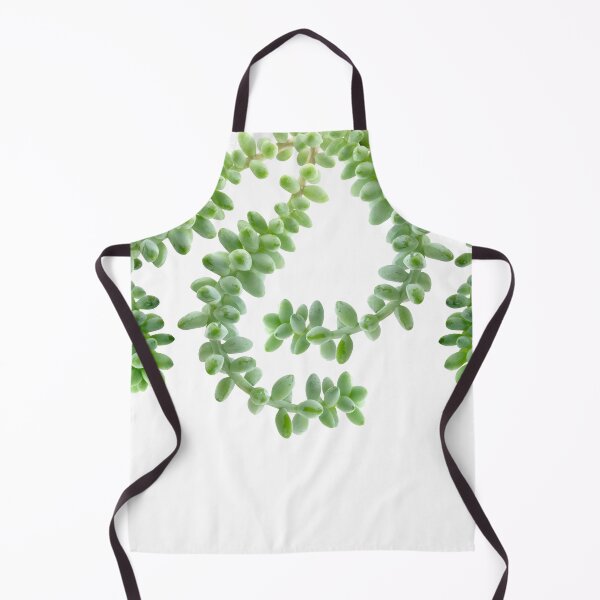 Item preview, Hanging Succulents - Burro's Tail Succulents - Green House Plants designed and sold by TurningMoss.