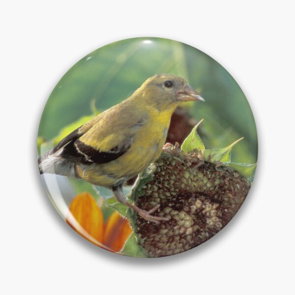 Item preview, Gold Finch on a Sunflower designed and sold by Bill Spengler's Photographic Thoughts.