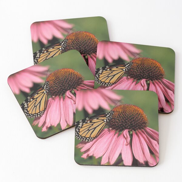Item preview, Monarch on Echinacea designed and sold by Bill Spengler's Photographic Thoughts.