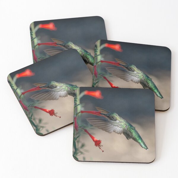 Item preview, Anna's Hummingbird designed and sold by Laurel Eby.