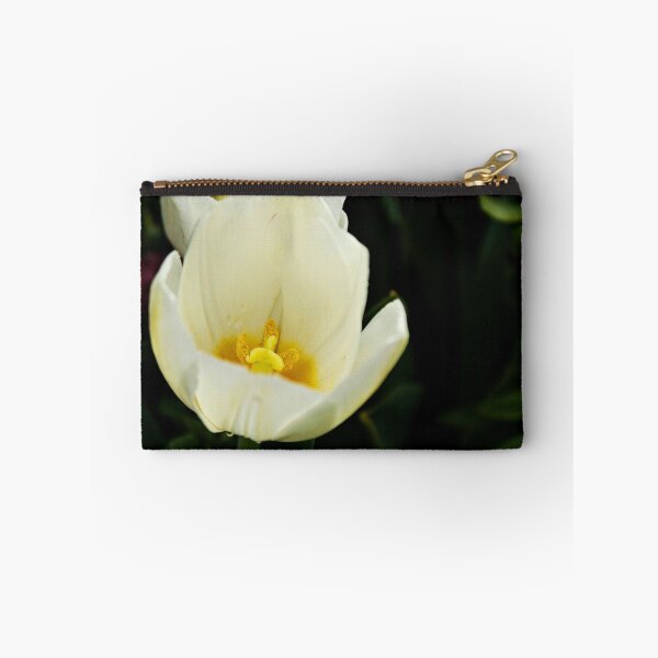 Item preview, Tulip Beauty designed and sold by Gayle Shaw.