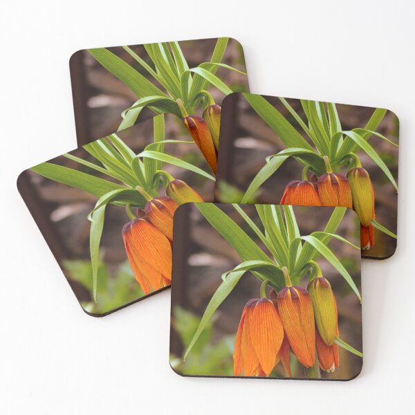 Item preview, Orange Floral Bulbs Macro Photography designed and sold by lesrubadesigns.