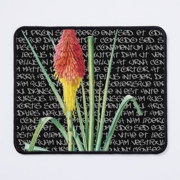 Item preview, Vintage Red Hot Poker on Graffiti. Modern Vintage no 43 Black background. designed and sold by Point-Of-DD.