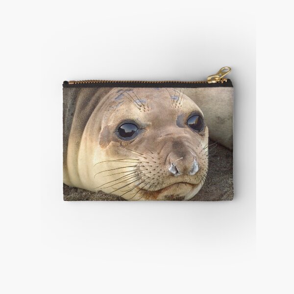 Item preview, Young Elephant Seal pup designed and sold by Eyal Nahmias.