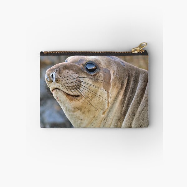 Item preview, Young female Elephant Seal profile designed and sold by Eyal Nahmias.