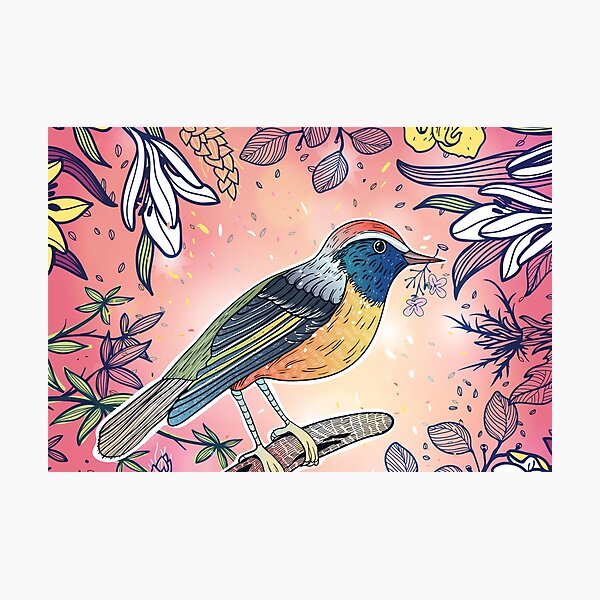 Beautiful illustration of multicolored bird with flowers on pink background Photographic Print