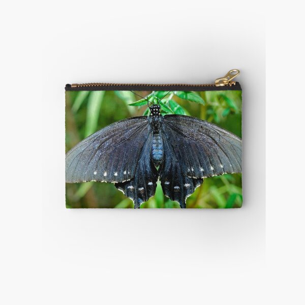 Item preview, Pipevine Swallowtail butterfly designed and sold by Eyal Nahmias.