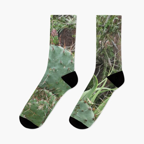 Item preview, Prickly Cacti designed and sold by Djjin66.