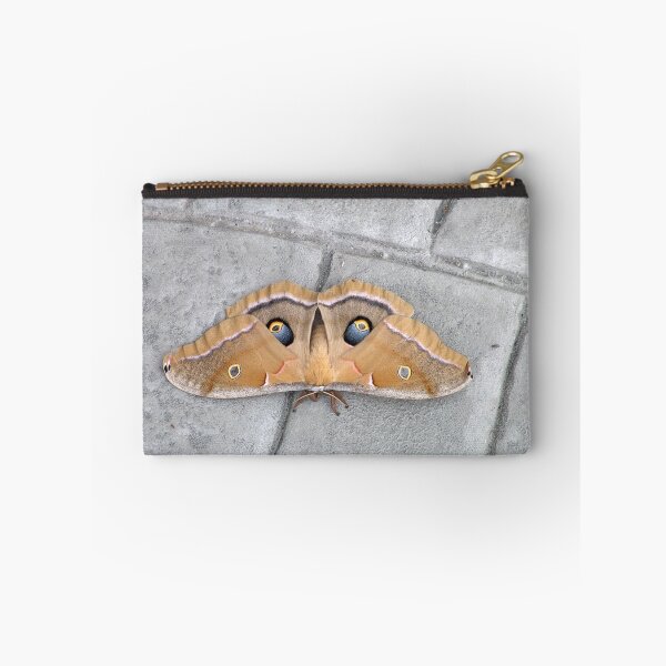 Item preview, Antheraea polyphemus designed and sold by © Joe  Beasley IPA.