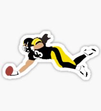 Troy Polamalu One Handed Interception Sticker