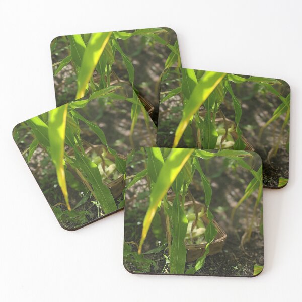 Item preview, Sweet Corn Harvest designed and sold by Jkund19.