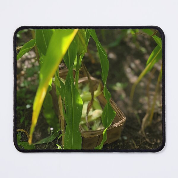 Item preview, Sweet Corn Harvest designed and sold by Jkund19.