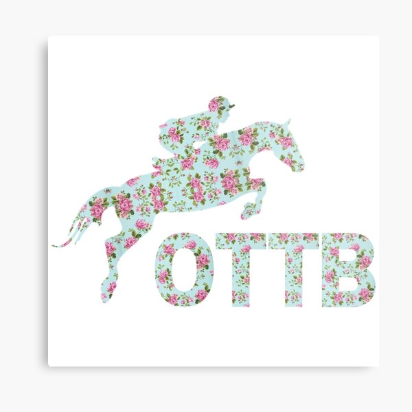 OTTB Metal Print