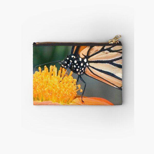 Item preview, Monarch Butterfly sip nectar from a Daisy flower designed and sold by Eyal Nahmias.
