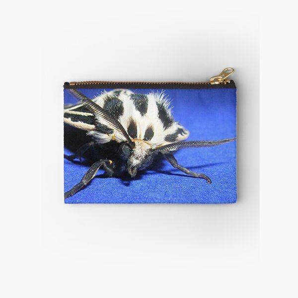 Item preview, Inquisitive designed and sold by jillspring.