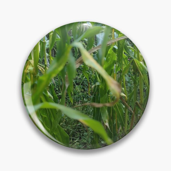 Item preview, The Corn Path designed and sold by Jkund19.