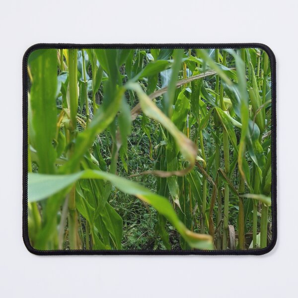 Item preview, The Corn Path designed and sold by Jkund19.