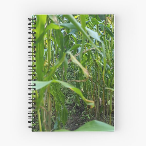 Item preview, The Corn Path designed and sold by JkundArt.