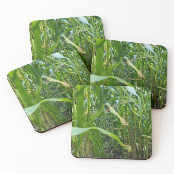 Item preview, The Corn Path designed and sold by Jkund19.