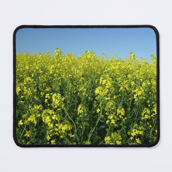Item preview, Sprintime Canola designed and sold by Leanne Davis.
