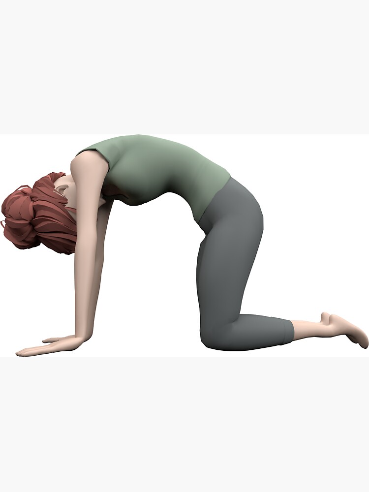 « Yoga - La pose du Chat » par Pidl