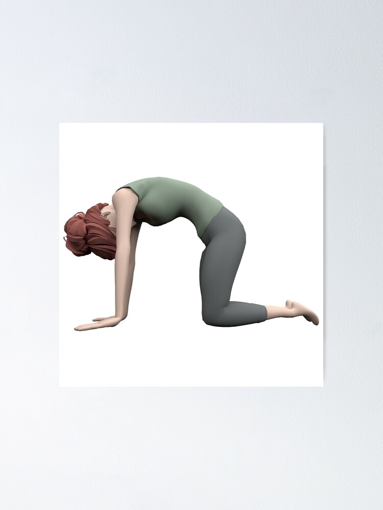 Poster ''Yoga - La pose du Chat' : autre vue