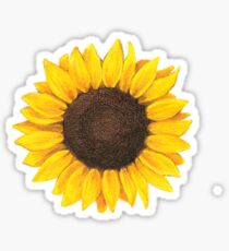 Sonnenblume Sticker