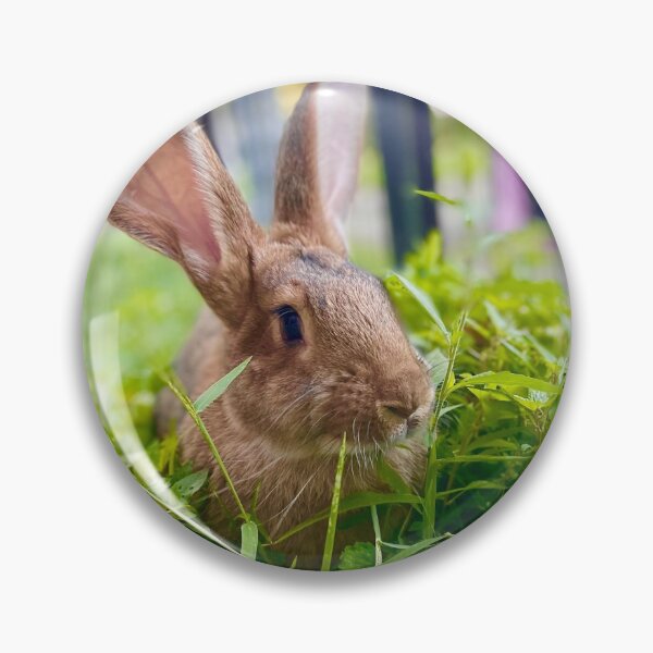 Item preview, Flemish giant designed and sold by Hezzyuk.
