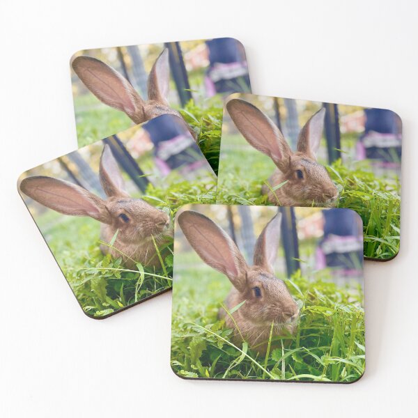 Item preview, Flemish giant designed and sold by Hezzyuk.