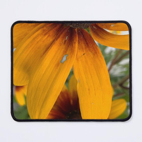 Item preview, Fall flowers designed and sold by agnessa38.
