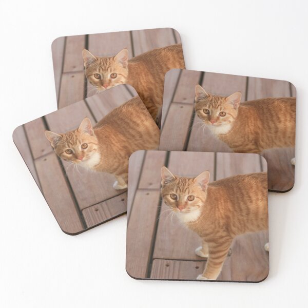 Item preview, Orange Cat designed and sold by Melissa N. Robertson.