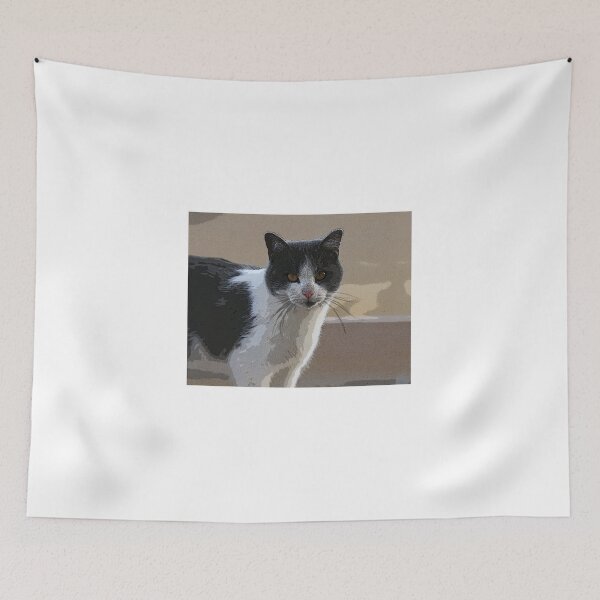 Item preview, Cute Cat Photograph designed and sold by Melissa N. Robertson.