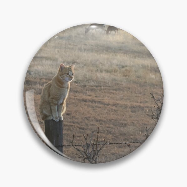 Item preview, Guard Cat and Field Deer Photograph designed and sold by Melissa N. Robertson.