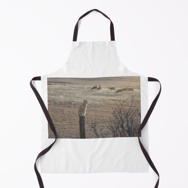 Item preview, Guard Cat and Field Deer Photograph designed and sold by Melissa N. Robertson.