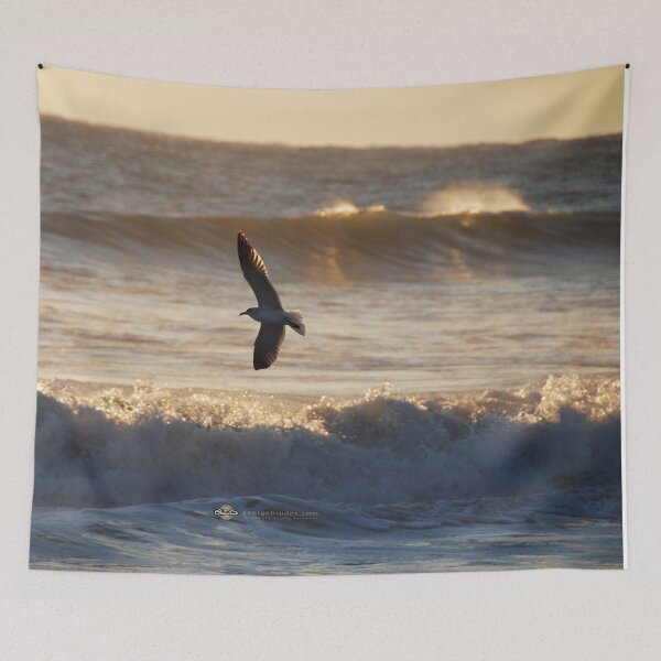 Item preview, "Satellite Beach Sunrise" ft. Black Legged Kittiwake designed and sold by George Brudos.