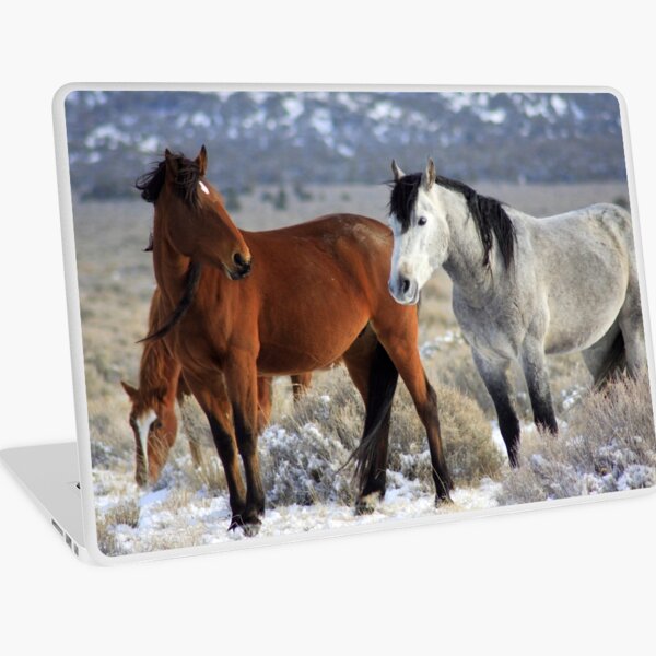 Snow Mustangs Laptop Skin