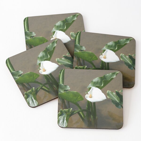 Item preview, Lily growing at Calla Lily Plantation, Taiwan designed and sold by photoslot.