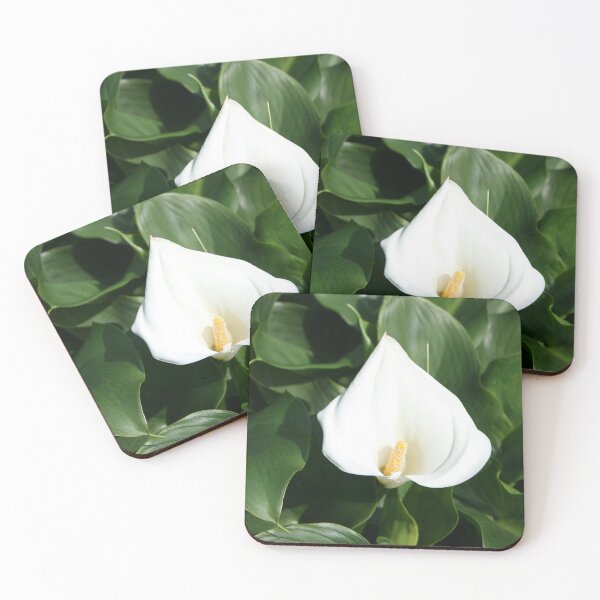 Item preview, Lily growing at Calla Lily Plantation, Taiwan designed and sold by photoslot.