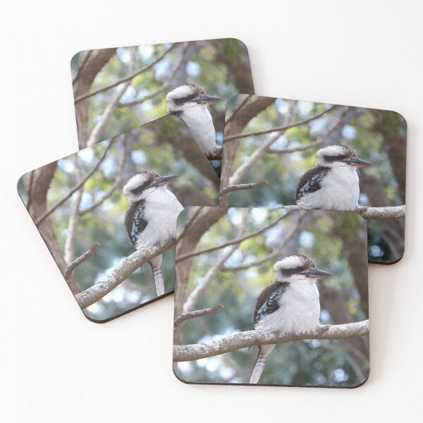 Item preview, Kookaburra sits  designed and sold by MargsNaturePix.