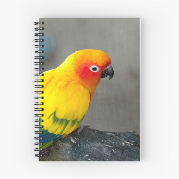 Item preview, A Parrot designed and sold by Susan Link.