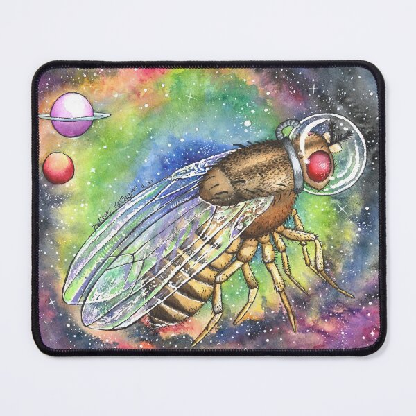 Item preview, Drosophila Fruit Fly in Space (#6 in series) designed and sold by Kelley-Art.