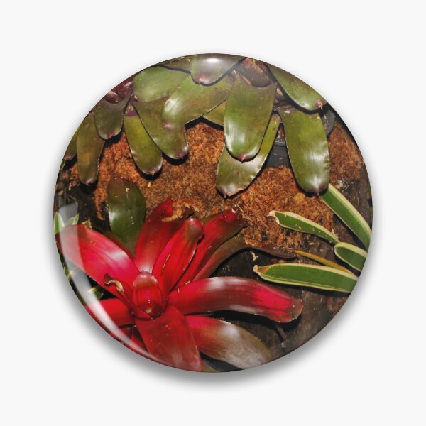Item preview, Beautiful bromeliads designed and sold by FranWest.