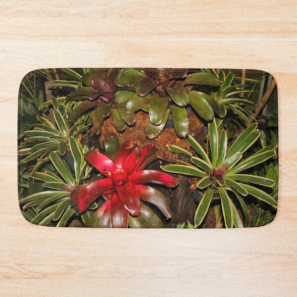 Item preview, Beautiful bromeliads designed and sold by FranWest.
