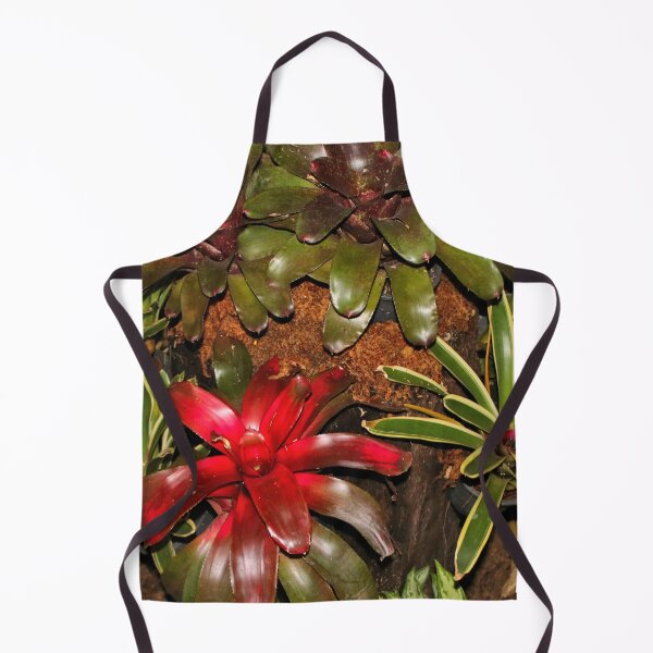 Item preview, Beautiful bromeliads designed and sold by FranWest.